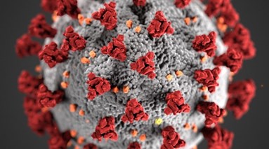 closeup of covid virus under microscope