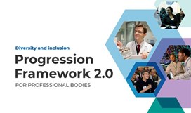 Cover image of the D&I Progression Framework 2.0