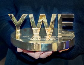 photo of gold coloured award in the shape of the letters YWE