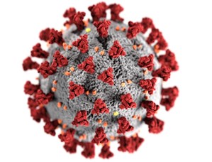 Covid virus