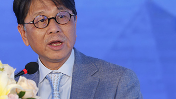 Ir Peter Y Wong CEng FIET Hon FCIBSE Hon FHKIE